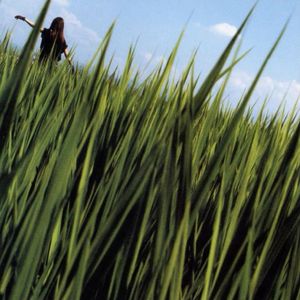 You Are My Everything