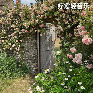 花月幽梦古筝纯音乐・花影摇曳的迷离