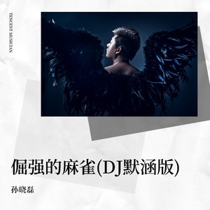 倔强的麻雀 (DJ默涵版|DJ默涵版伴奏)