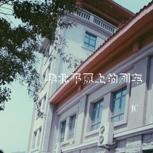 华北平原上的列车