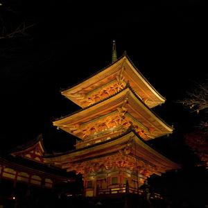 十六夜