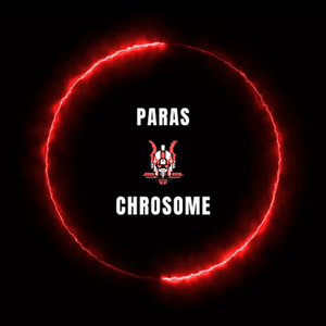 Paras