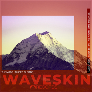 In the Night (Filippo Di Biase Remix)
