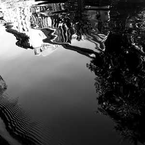 MST (The Plant Worker Remix)