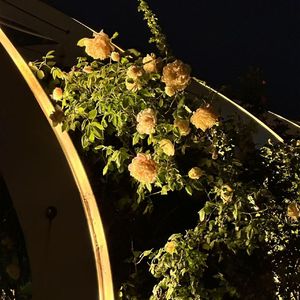 风在褶皱里悬停