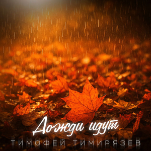 Дожди идут