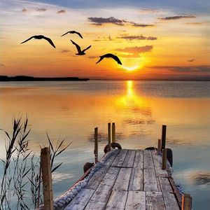 我想离开浪浪山