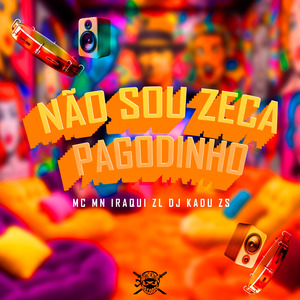 Não Sou Zeca Pagodinho