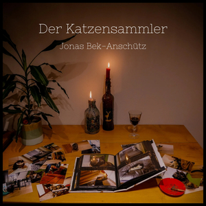 Der Katzensammler, Kapitel 3 - Die Zwangsversteigerung