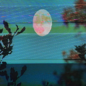 ColdMoon