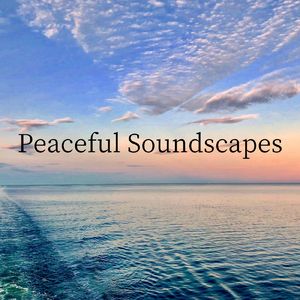 Gangs Of His Comfort