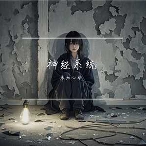 神经系统