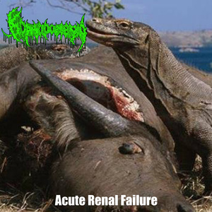 Pedikulosis Kapitis