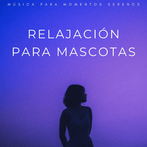 Ritmos Serenos De Relajación