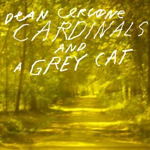 Cardinals and a Grey Cat