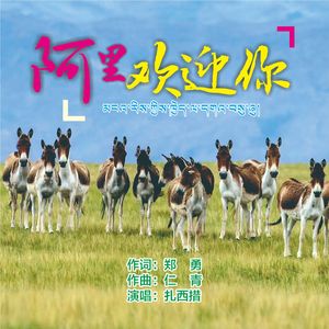 阿里欢迎你