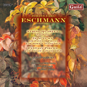 String Quartet in d minor Finale - allegro assai