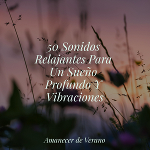 Recuerdos desvaneciéndose en la brisa