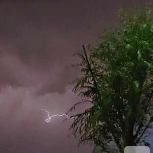 Sunflower-太阳花（Cover 孙培博）