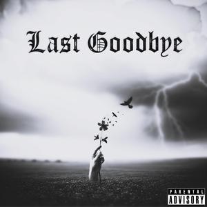 Last Goodbye (feat. Lana)