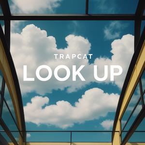 Look Up