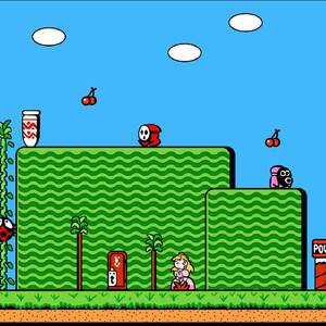 Overworld (Super Mario Bros. 2)