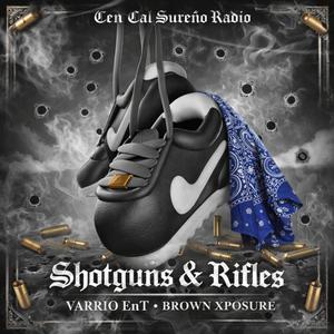 Shotguns & Rifles