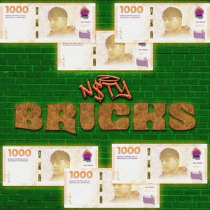 BRICKS