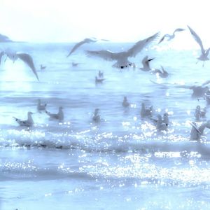 February 2026 (Ft. F1ame)