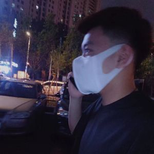 南燕（翻自名决
