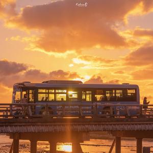 骗（《如果声音不记得》电影插曲）（翻自 张碧晨）