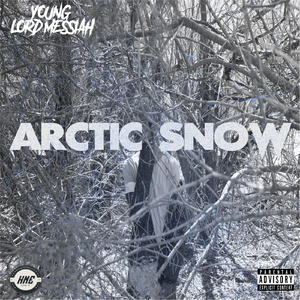 Arctic Snow