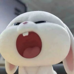 也许你不会懂