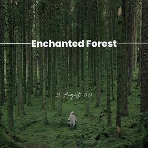 Enchanted Forest - 魔法森林