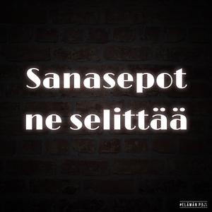 Sanasepot ne selittää