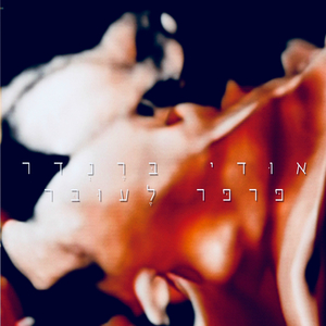 פרפר לעובר