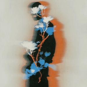 Money Focused Freestyle