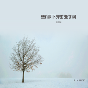 雪停下来的时候