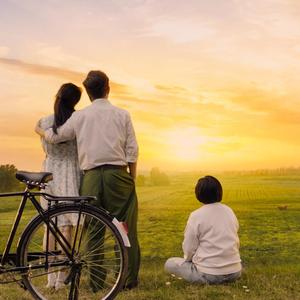 萱草花（翻自 张小斐）