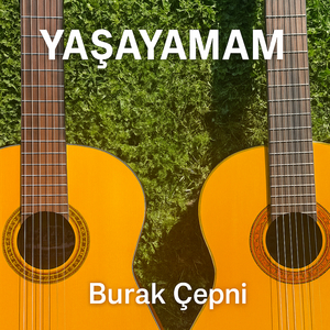 Yaşayamam