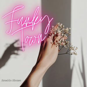 Funky Town