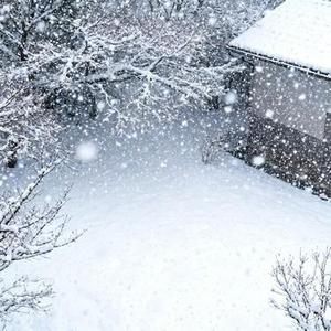 积雪 (Cover 杨瑜婷)