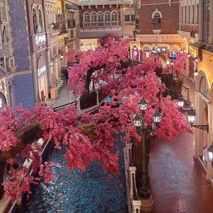 Entangled fate纠缠的命运