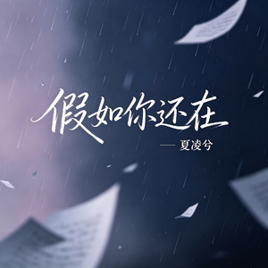 假如你还在