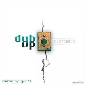 Dub Up (Continuous DJ Mix)