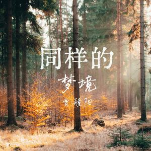 同样的梦境