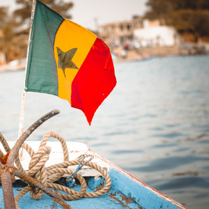 Senegal 9.99 (Radio Edit)