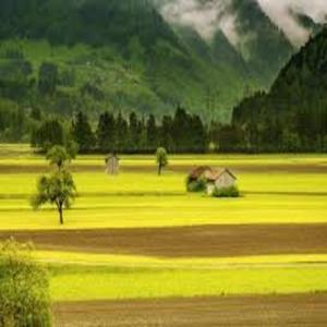 ちいさい秋みつけた