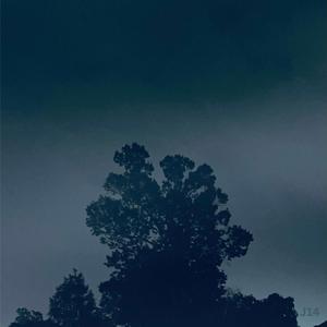 Light (Grow Lo-fi Project Extra)