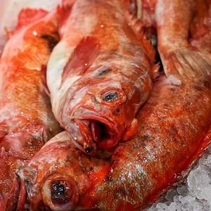 孤洲(Prod.REDRUM MUSIC)